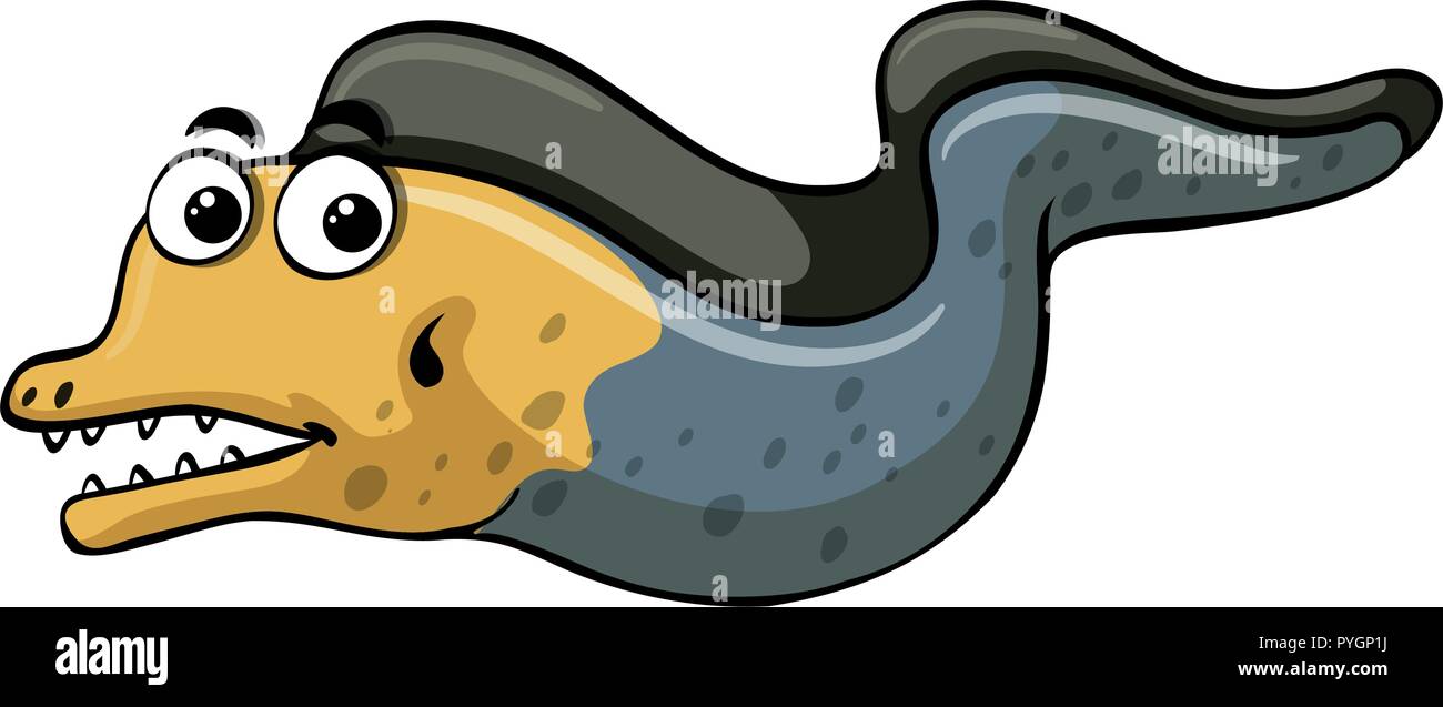 Eel swimming on white background illustration Stock Vector