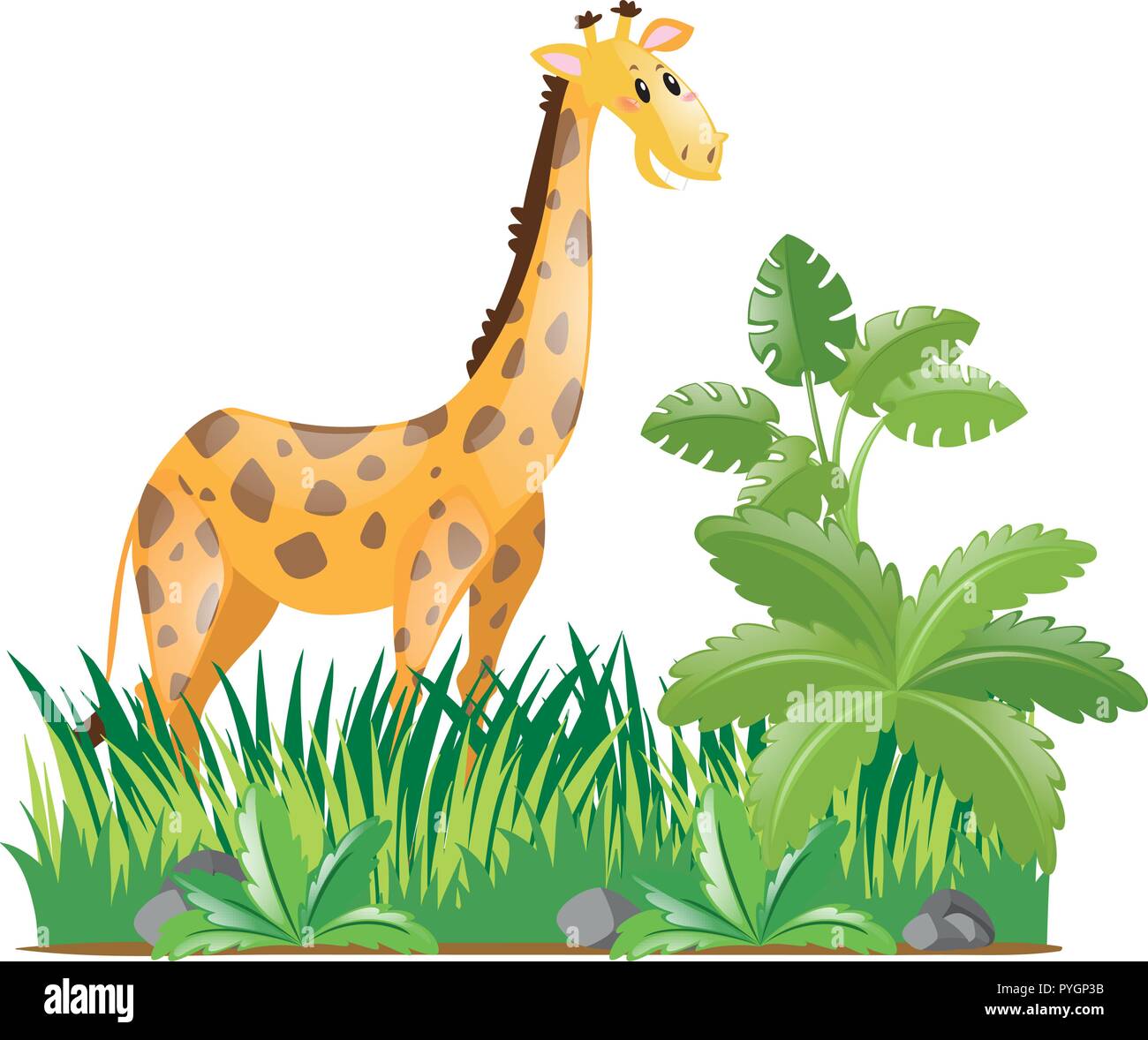 Wild giraffe in forest illustration Stock Vector Image & Art - Alamy