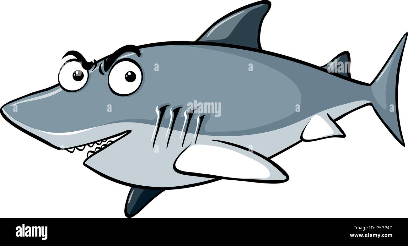 Gray shark on white background illustration Stock Vector