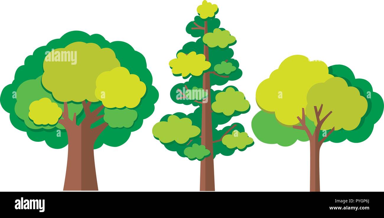 Different types of trees illustration Stock Vector Image & Art Alamy
