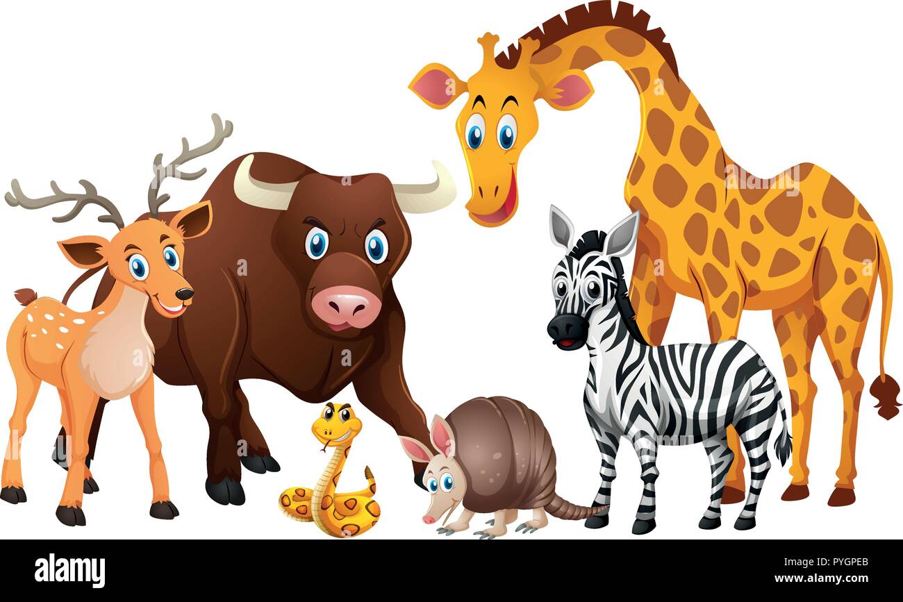 Wild animals on white background illustration Stock Vector Image & Art ...