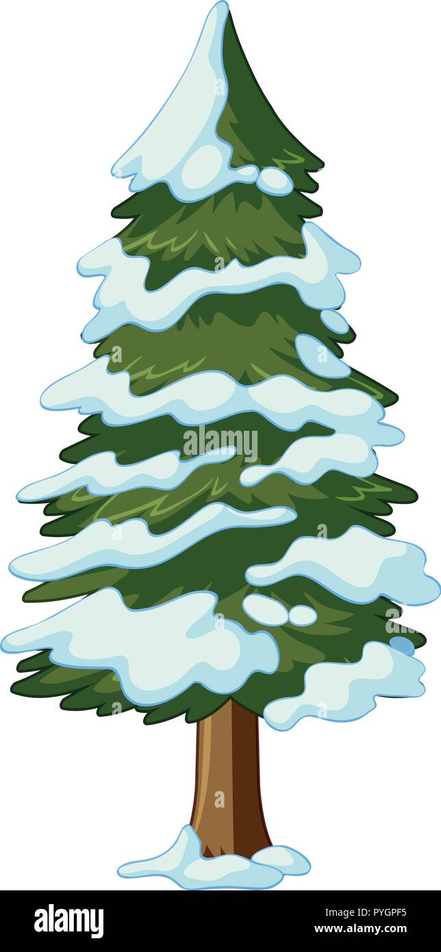 Pine tree covered with snow illustration Stock Vector