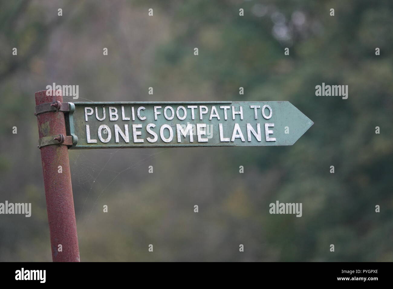 Public Footpath to Lonesome Lane sign Stock Photo