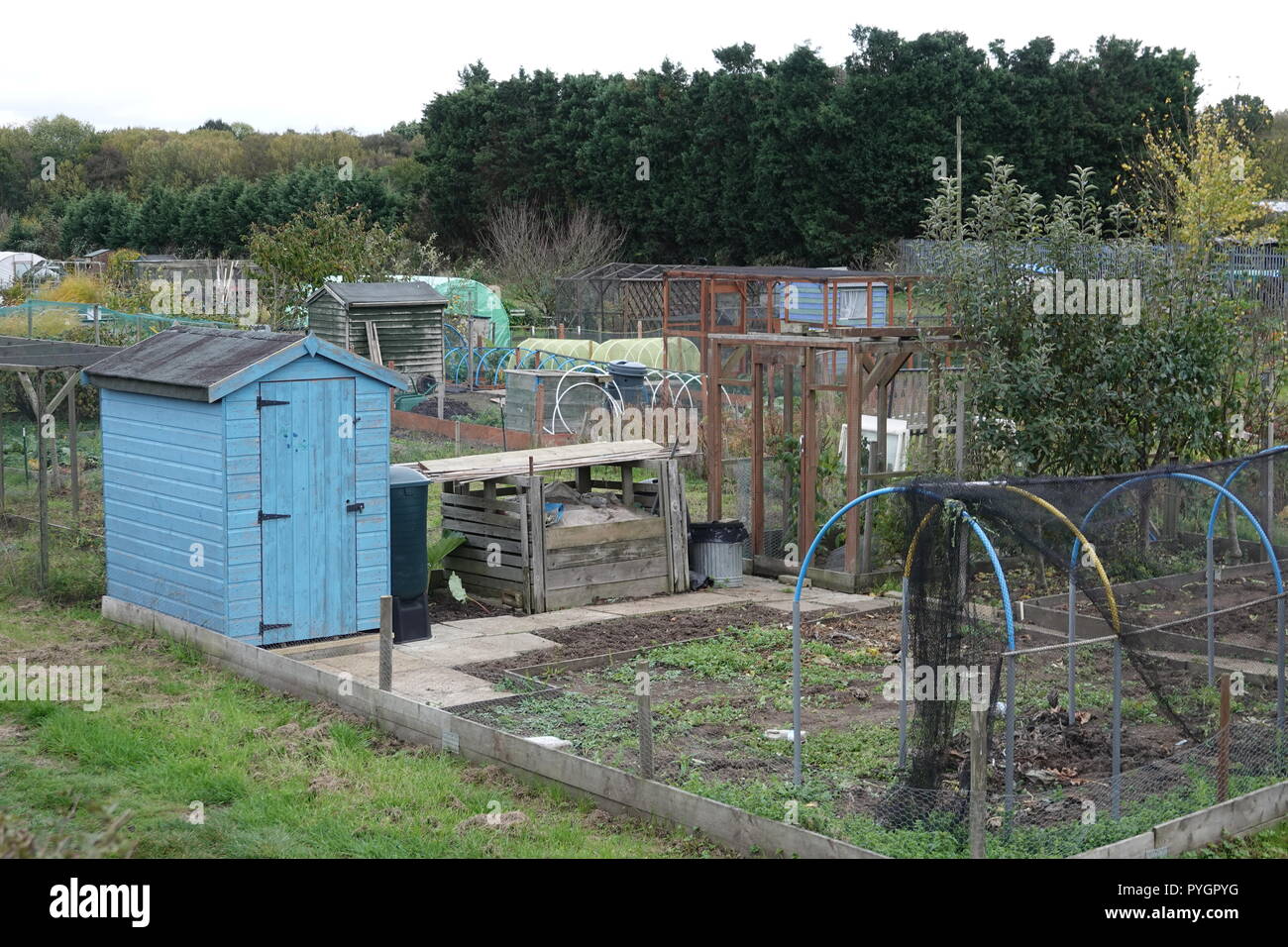 Painted allotment shed hi-res stock photography and images - Alamy