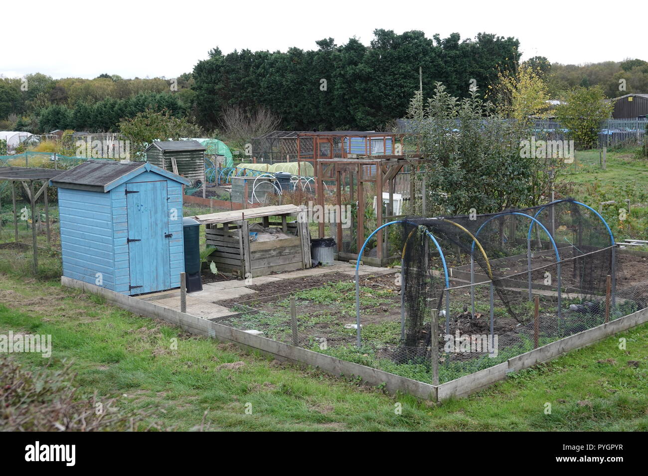 Painted allotment shed hi-res stock photography and images - Alamy