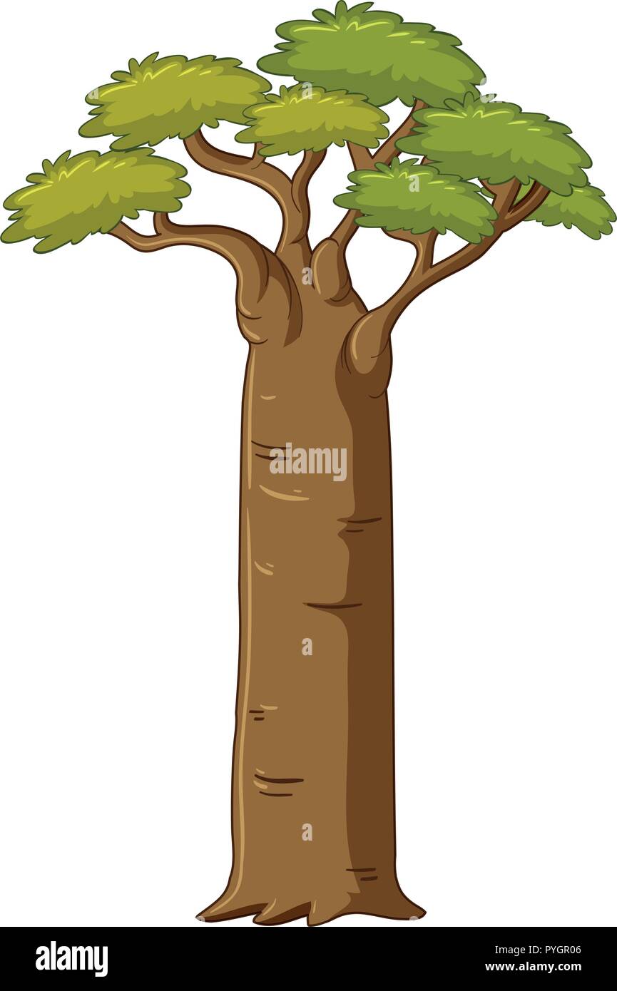 Tree with big trunk illustration Stock Vector Image \u0026 Art - Alamy, image size:865x1390