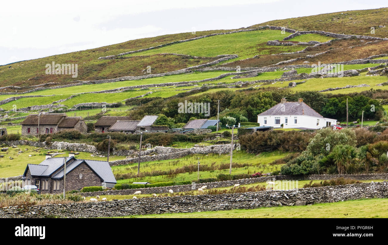 stone homes, buildings and sheds and stone wall fences dividing up Irish farm fields Stock Photo