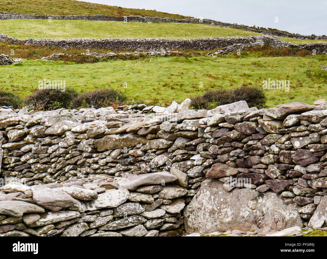 ancient stone walls dividing a hillside on the Irish coast near ancient beehive Irish huts  formed in stone cashels or enclosed farmsteads in the Earl Stock Photo