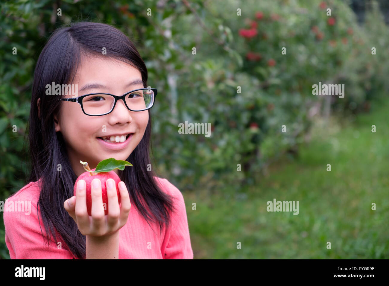 Little Asian girl child hold a red apple in orchard Stock Photo