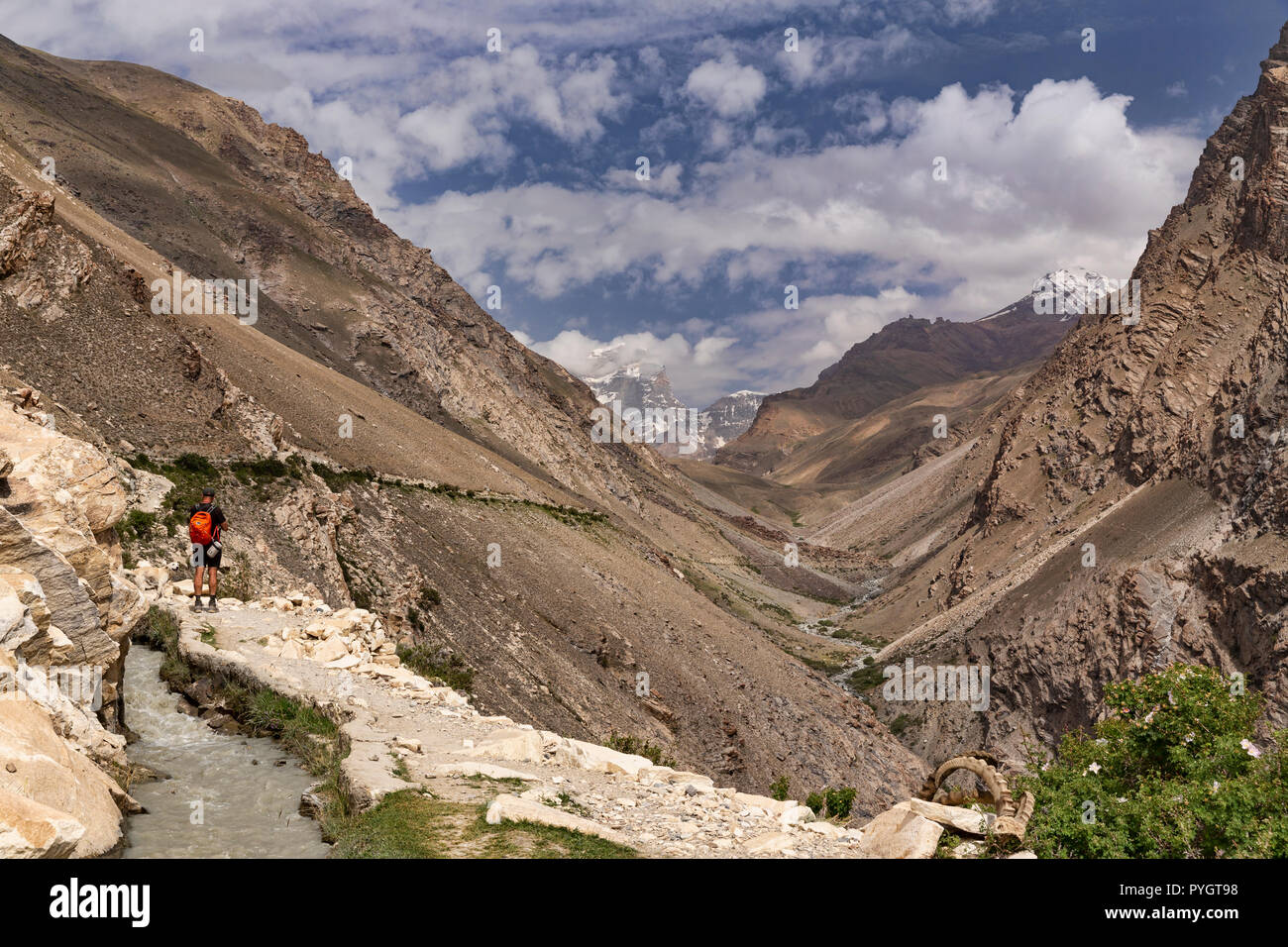Trekker admires up valley views of Engels Peak on the Engels Peak Meadows trek, Langar, Tajik Wakhan, Pamir Mountains, Tajikistan Stock Photo