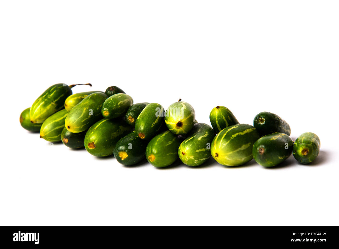 Pointed gourd vegetables isolated on white background Stock Photo