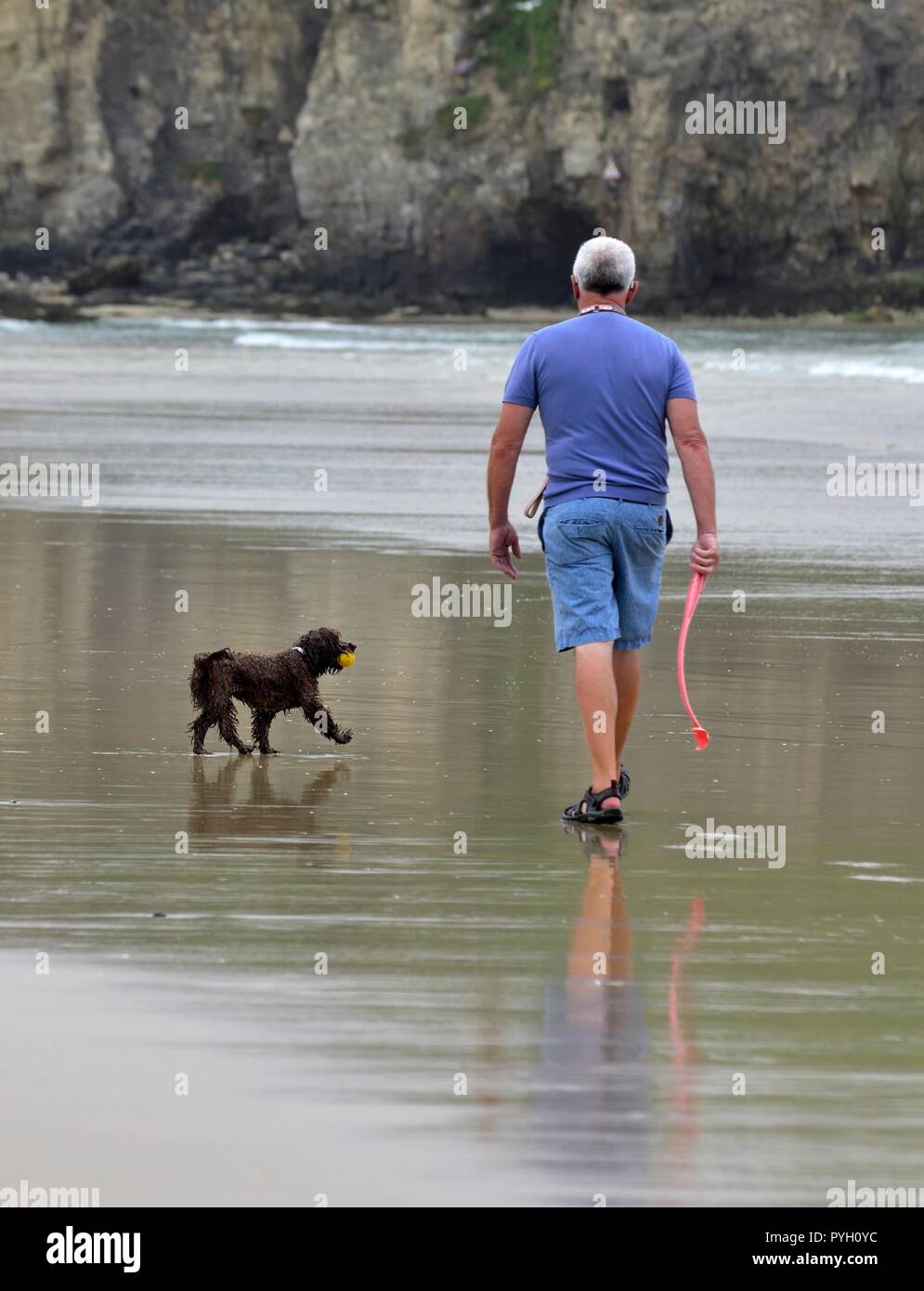 A man walking his dog along a UK beach carrying a dog throw catcher ,ball launcher Stock Photo