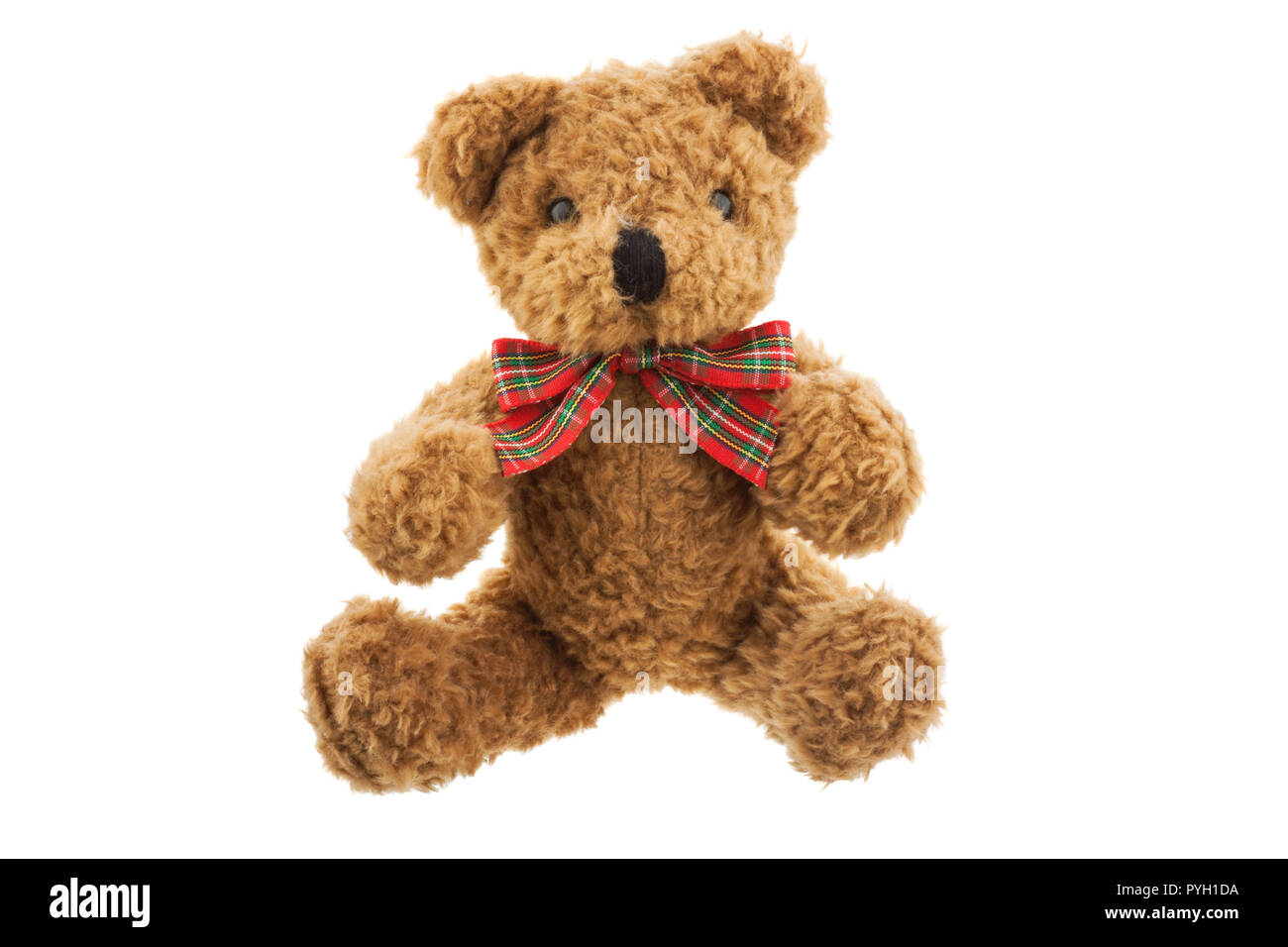 teddy bear isolated on white background Stock Photo - Alamy
