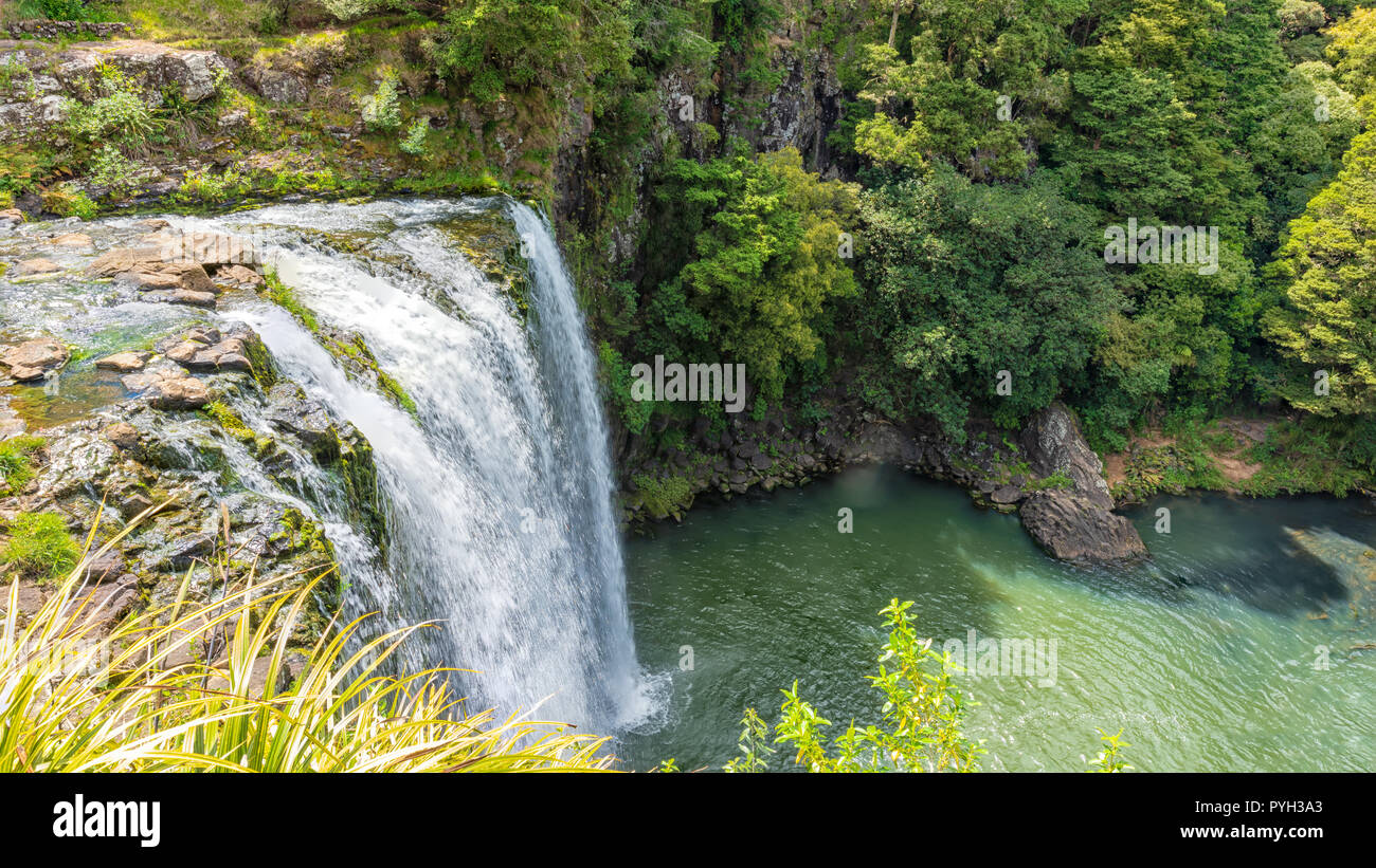 Scenic reserve surrounding the  famous Whangerei waterfall 26 m. high on the Hatea River in New Zealand Stock Photo