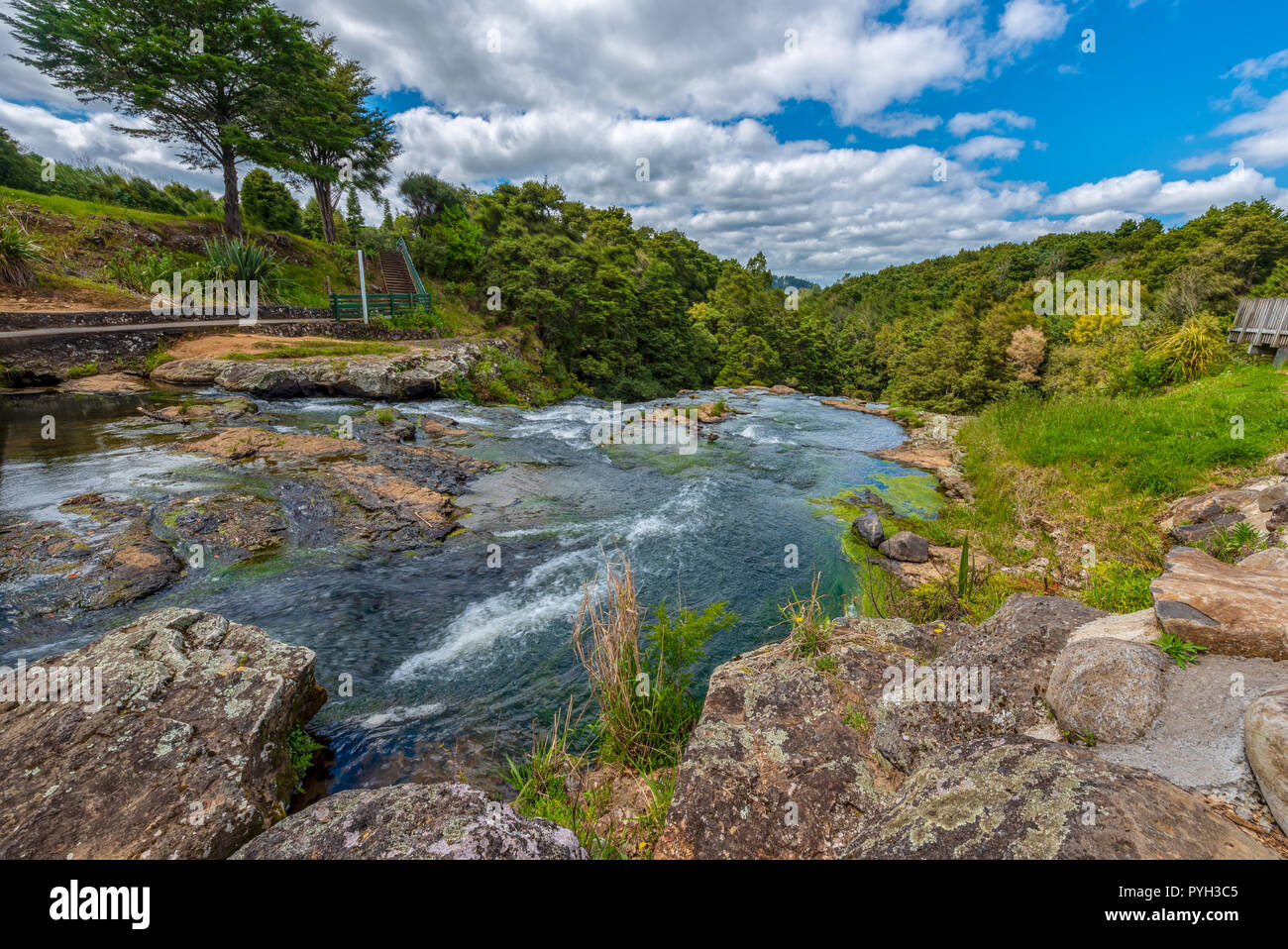 Scenic reserve surrounding the Hatea River in Whangerei New Zealand on a bright sunny day with blue skies and clouds Stock Photo