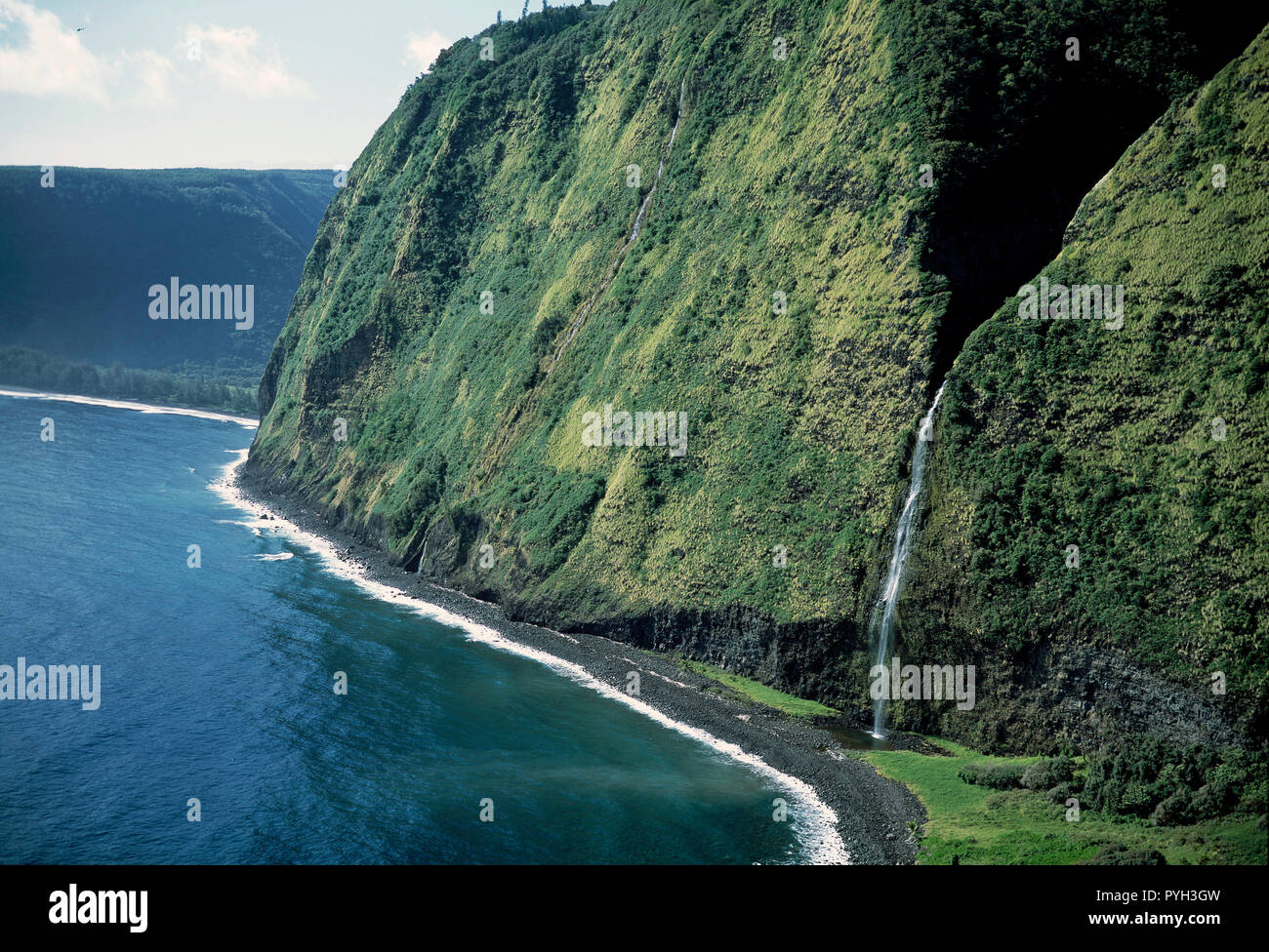 Kohala main image 0