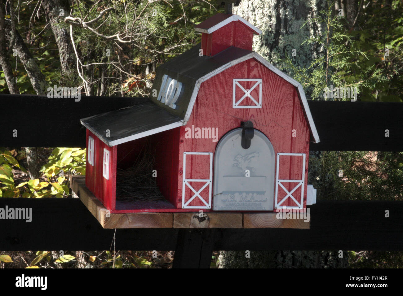 Bird's nest in small space of a barnshaped mailbox Stock Photo Alamy