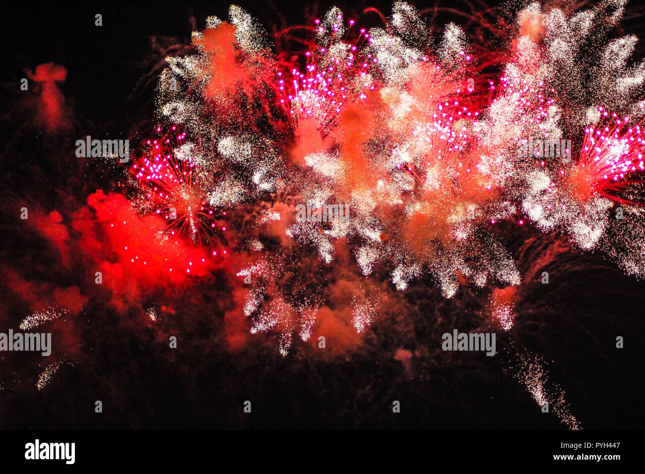 Fireworks on the black sky. Festive show. Largescale celebration. The