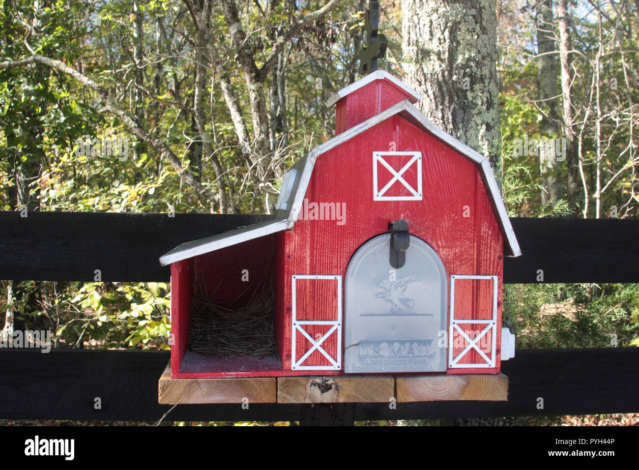 Bird's nest in small space of a barnshaped mailbox Stock Photo Alamy