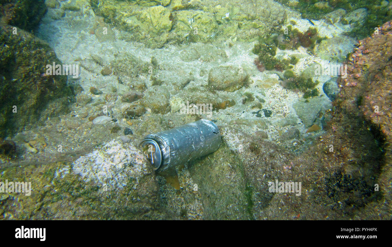 silver can, waste on stony sea bottom under the water, concept of pollution underwater Stock Photo