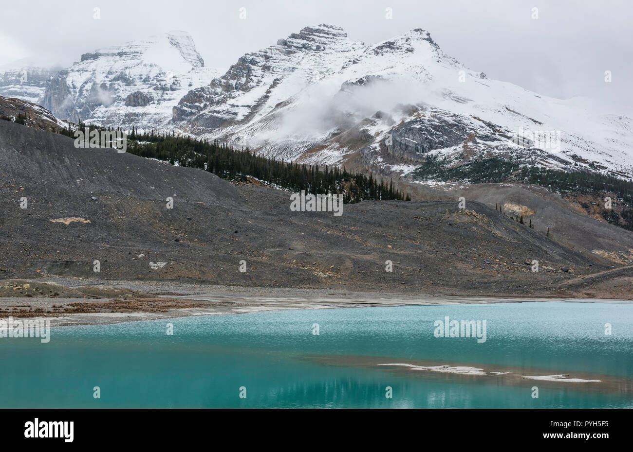 Sunwapta Lake, Icefield Parkway, Jasper NP, Alberta, Canada, by Bruce Montagne/Dembinsky Photo Assoc Stock Photo