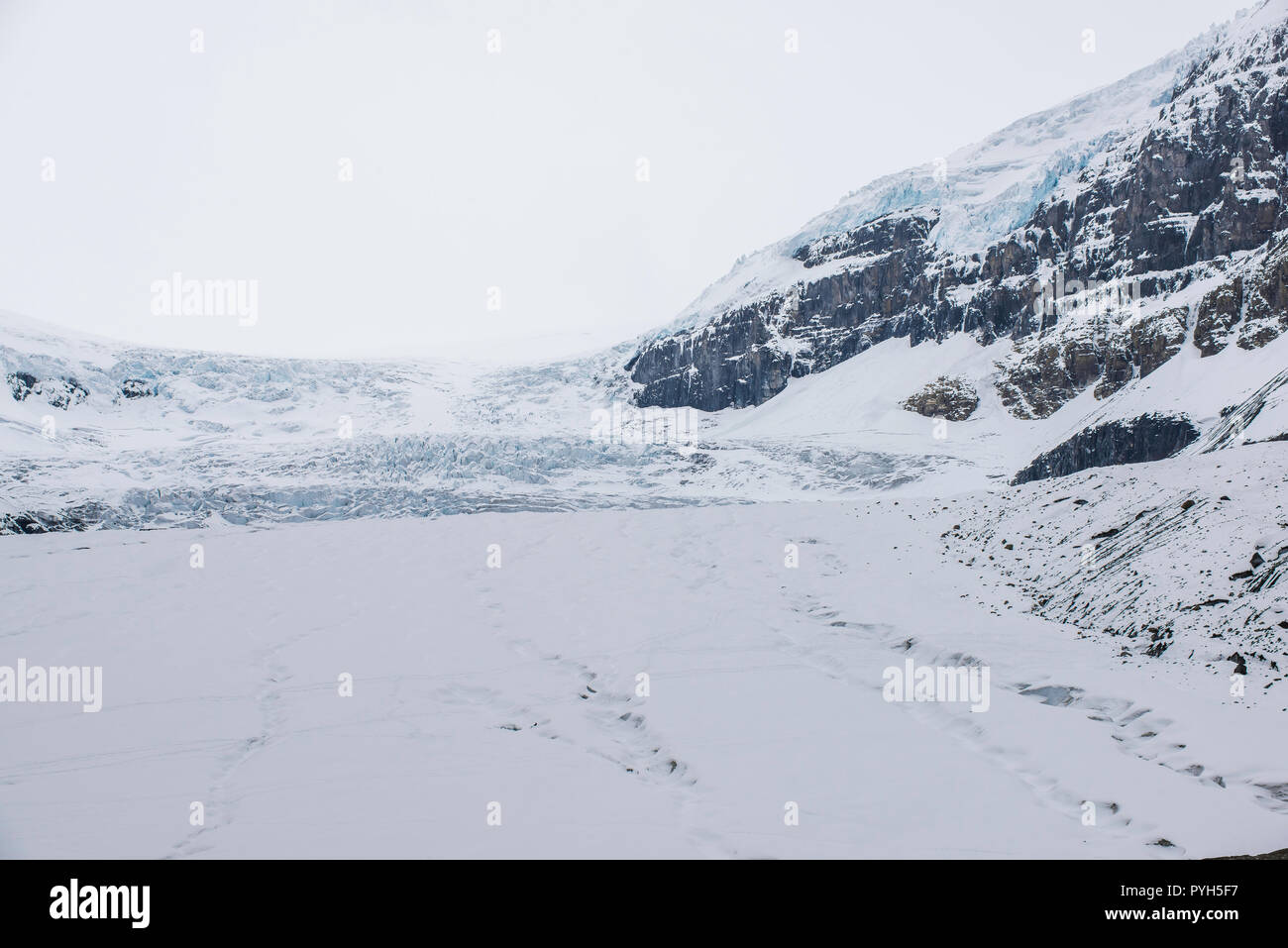 Athabasca glacier, Jasper NP, Alberta, Canada, by Bruce Montagne/Dembinsky Photo Assoc Stock Photo
