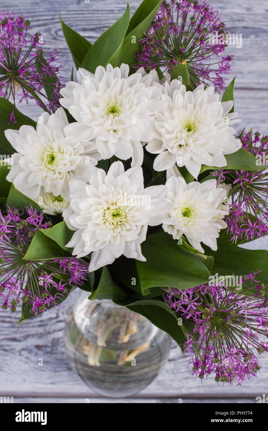 Luxury bouquet of fresh flowers. White chrysnathemums and purple allium background. Holiday greeting card. Stock Photo