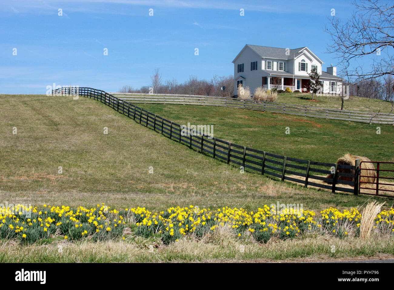 White House On Top Of Hill Large Property In Rural Virginia Usa Dandelions In Bloom Stock Photo Alamy