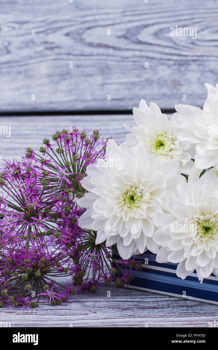 Colorful autumn flowers on wooden background. White and purple blooming flowers. Holiday greeting background. Stock Photo