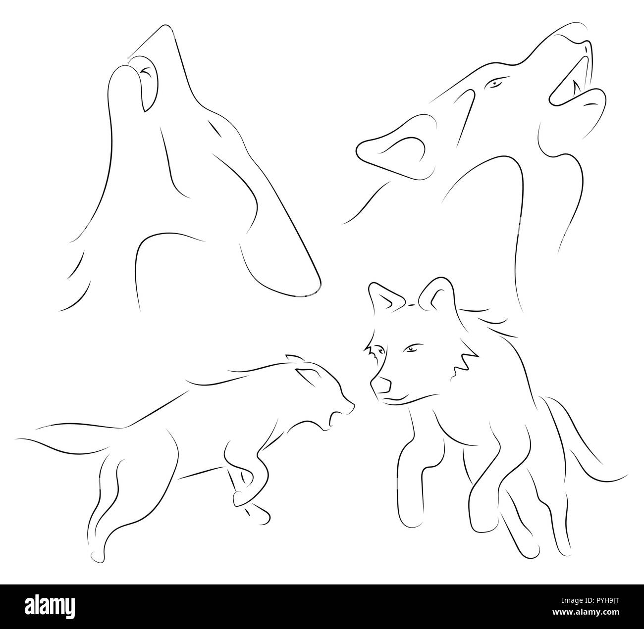 Black line wolfs on white background. Hand drawn linear sketch. Vector graphic animal. Stock Vector