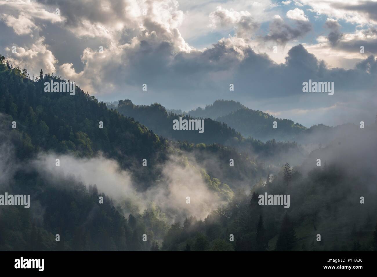 Romania, Misty morning with dramatic clouds near Colabita Lake in the Carpathians, Stock Photo