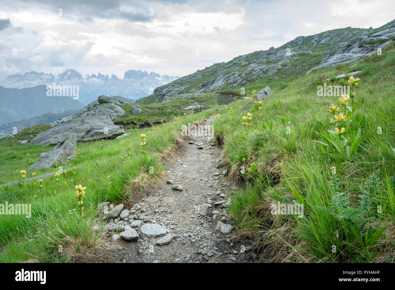 Sentiero adamello hi-res stock photography and images - Alamy