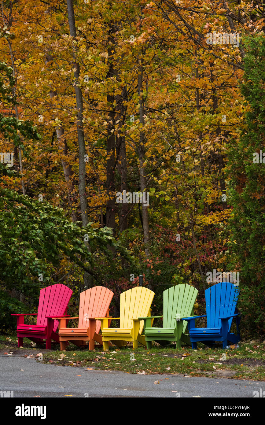 A row of colourful Adirondack aka Muskoka chairs nestled among the autumn foliage in Toronto, Ontario's Rouge National Urban Park. Stock Photo