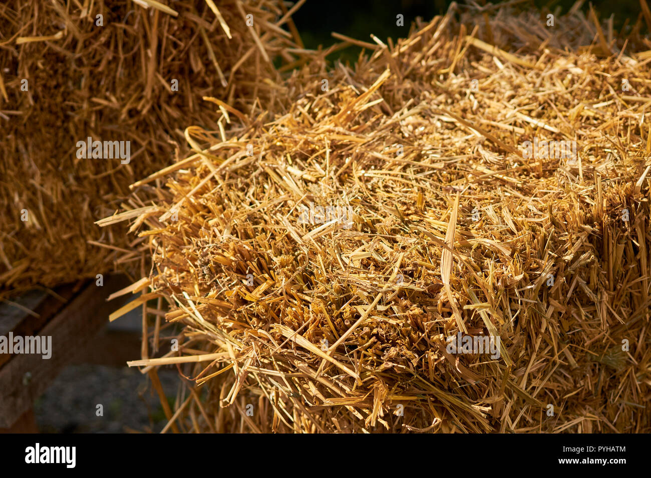Rectangular bales of hay on a farm in Amish Country, Lititz, Lancaster County, Pennsylvania, USA Stock Photo