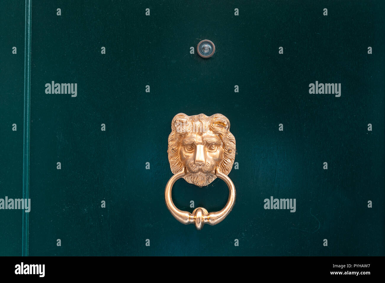 Decorative Gilded Lion Head Door Knob Close View Stock Photo