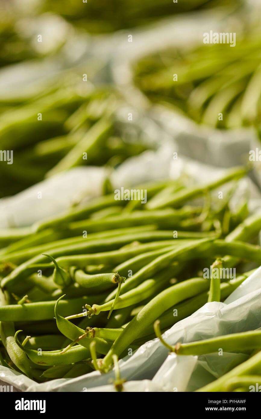 freshly picked string beans on display at a roadside farm stand in Amish Country, Lancaster County, Pennsylvania, USA Stock Photo