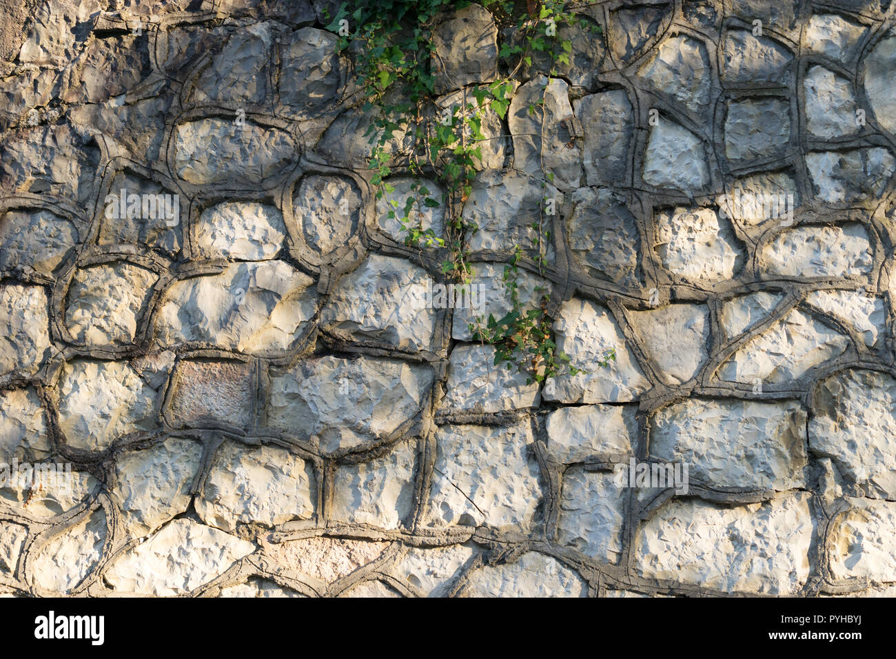 Old stone wall with ivy hi-res stock photography and images - Alamy