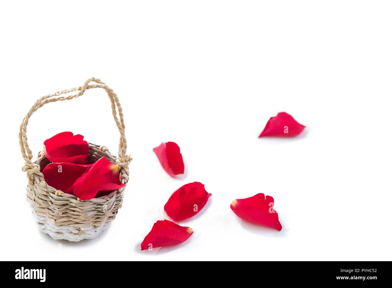 Wicker Basket of Red Petals Rose, with some on the ground on White Background, Valentine's Day Love Romance Wedding Feast Concept of Love Symbol of Luxury Tenderness, Spa, Stock Photo