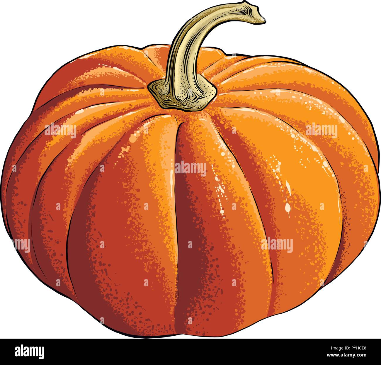 Pumpkin illustration vintage hires stock photography and images Alamy