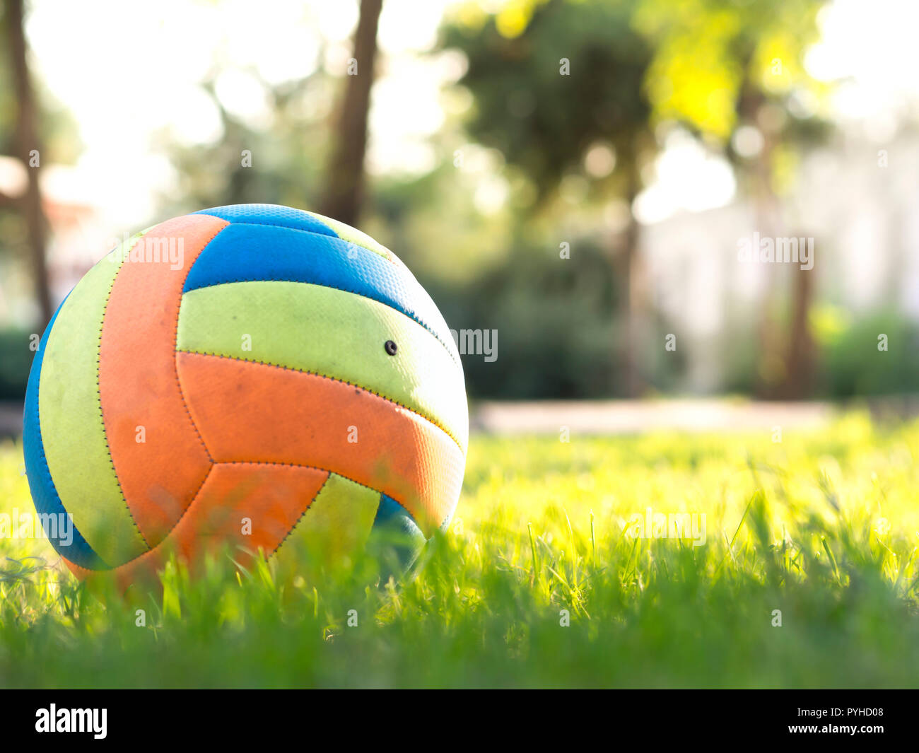 grass volleyball
