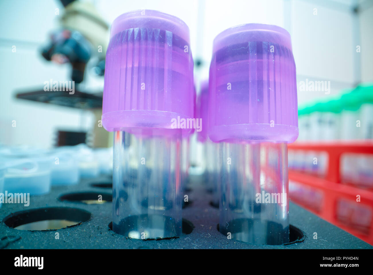 Test tubes in the medical lab. science laboratory test tubes