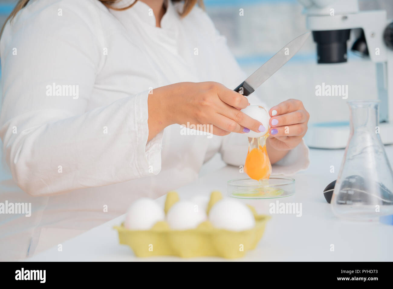 Eggs in quality inspection lab Stock Photo Alamy