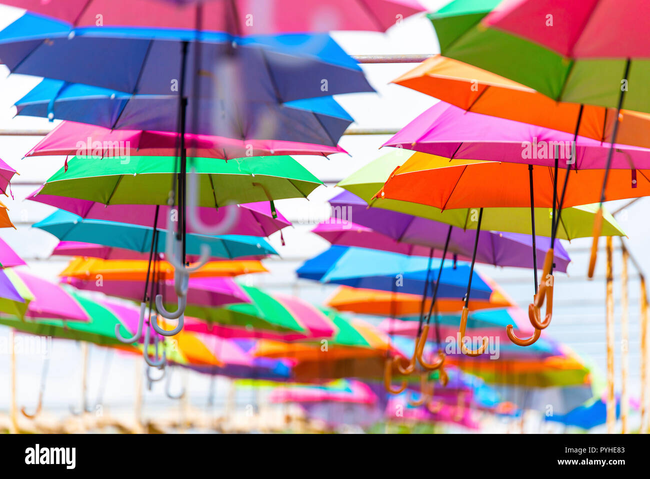 Colorful umbrellas decorate the place Stock Photo