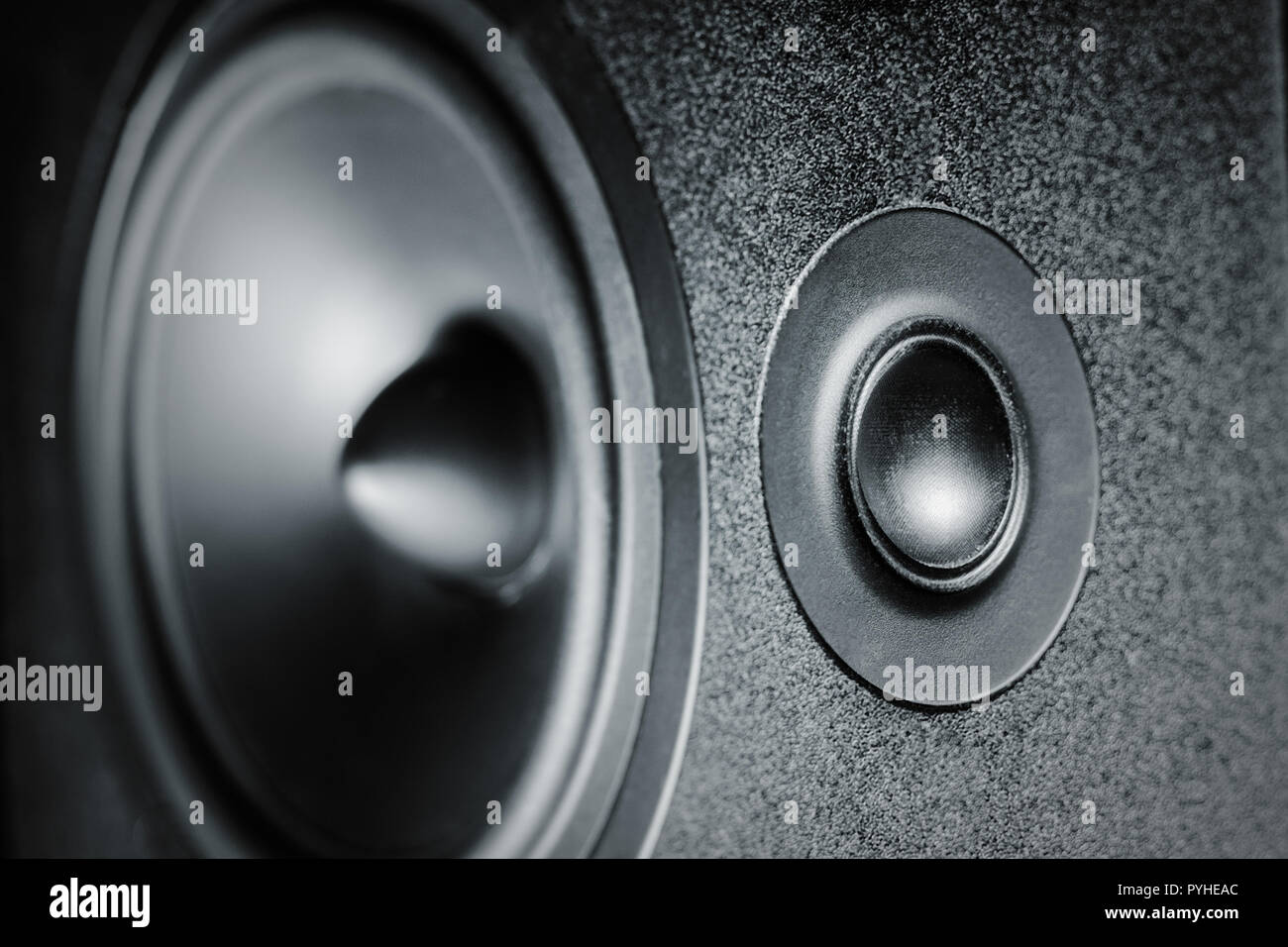 high and low frequency speakers, membrane audio speaker close-up Stock  Photo - Alamy