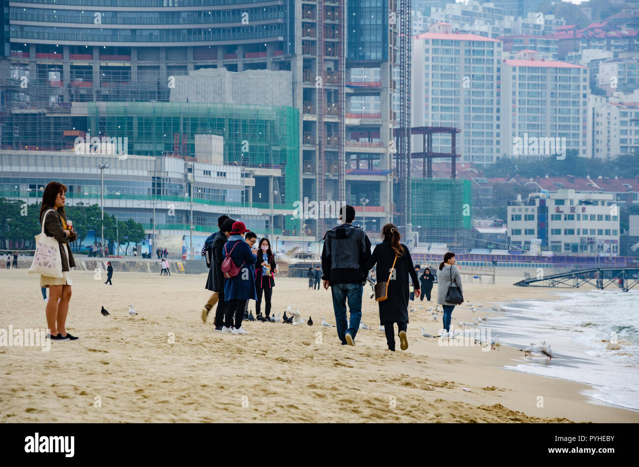 Haeundae Beach A Sandy Beach Popular With Tourists At Busan