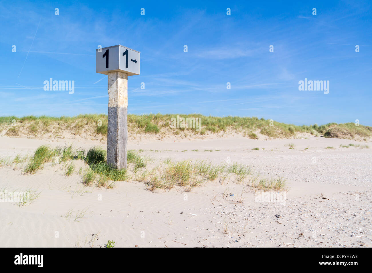 Marked beach pole with number 1 in sand on dune with marram grass on Kennemerstrand beach in IJmuiden, Noord-Holland, Netherlands Stock Photo