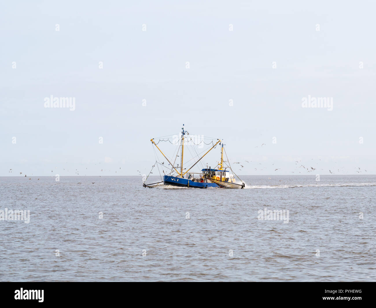 Shrimp trawler fishing on  Wadden Sea, Netherlands Stock Photo
