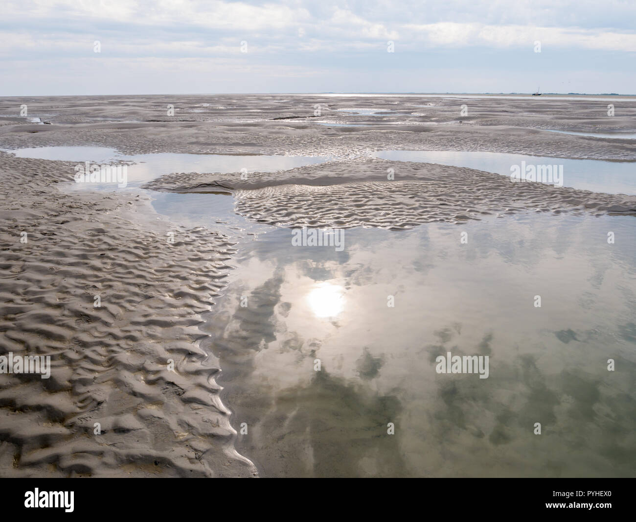 Sand flats at low tide of tidal sea Waddensea near Boschplaat, Terschelling, Netherlands Stock Photo