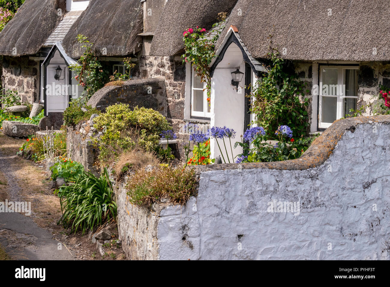 Thatched Cottages Cadgwith Cove Cornwall Uk Stock Photo