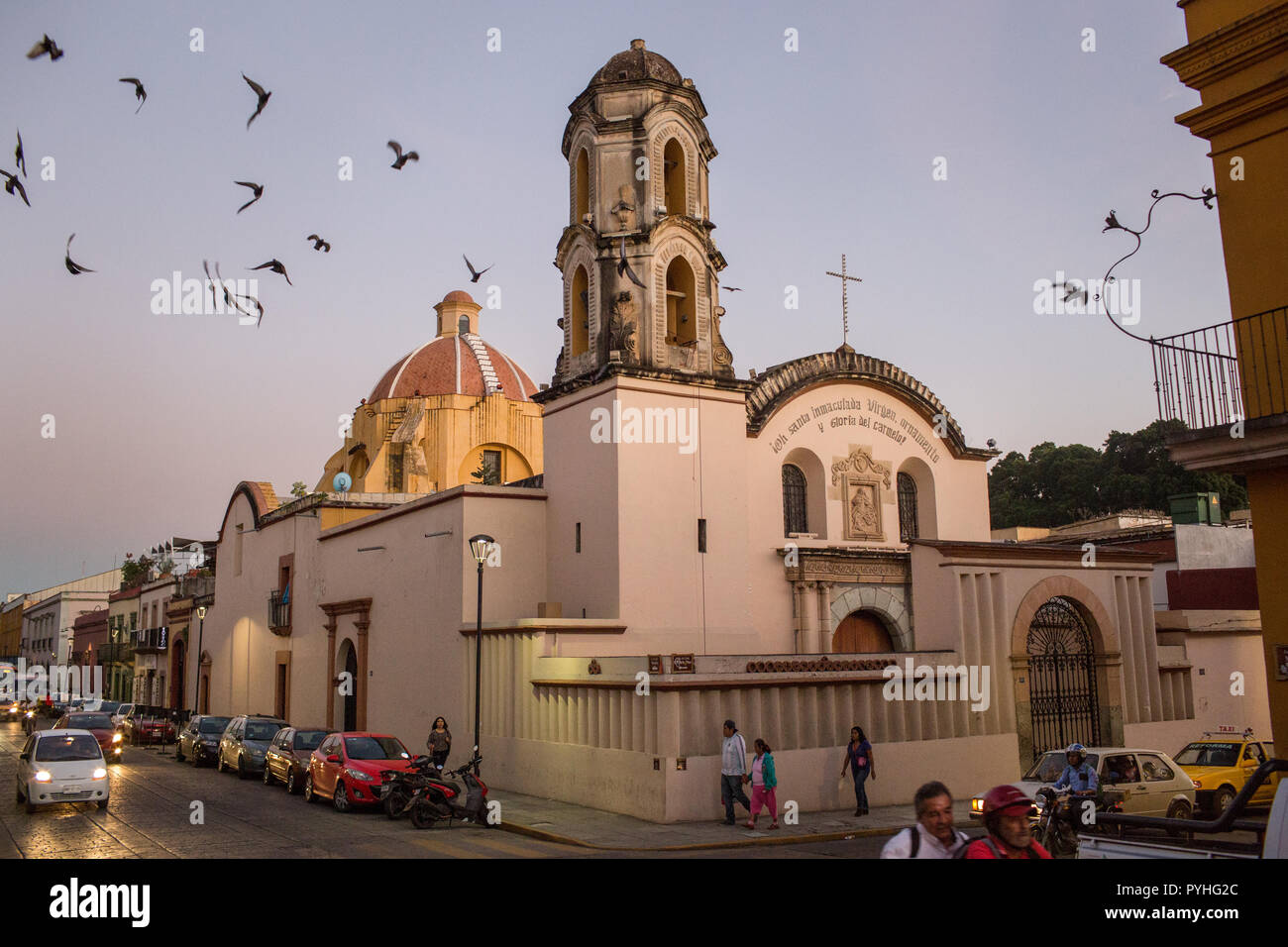 Birds fly by the Iglesia del Carmen Bajo at sunset, in Oaxaca, Oaxaca